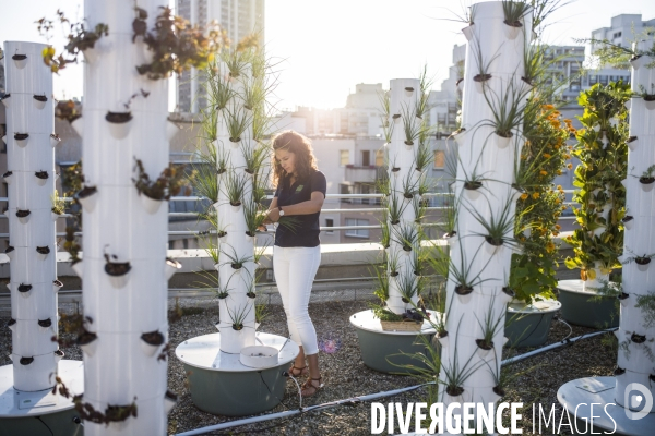 Entreprise cueillette urbaine, specialisee dans l installation de carres potagers en ville.