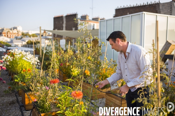 Entreprise cueillette urbaine, specialisee dans l installation de carres potagers en ville.