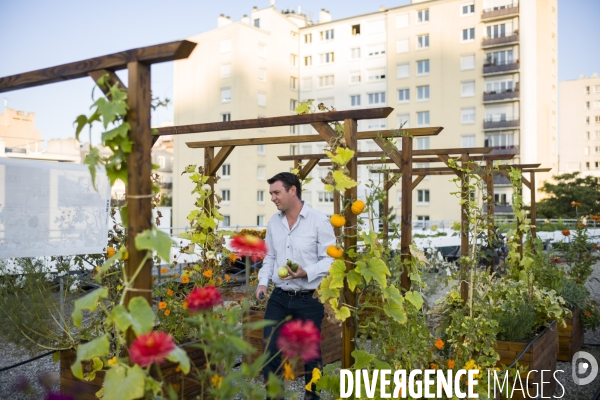 Entreprise cueillette urbaine, specialisee dans l installation de carres potagers en ville.