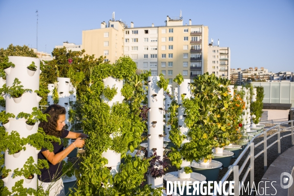 Entreprise cueillette urbaine, specialisee dans l installation de carres potagers en ville.