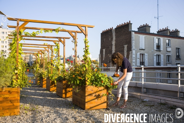 Entreprise cueillette urbaine, specialisee dans l installation de carres potagers en ville.