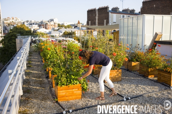 Entreprise cueillette urbaine, specialisee dans l installation de carres potagers en ville.