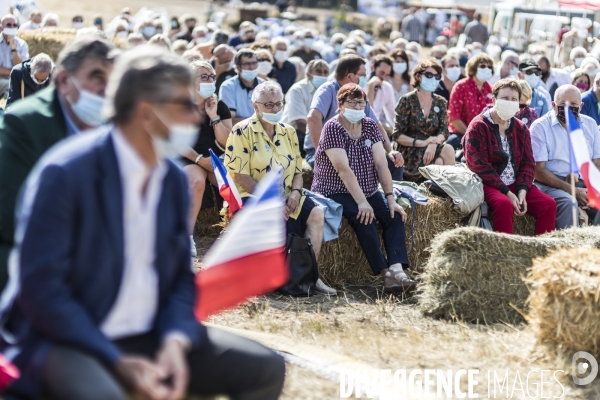 Fête de la Violette de LR