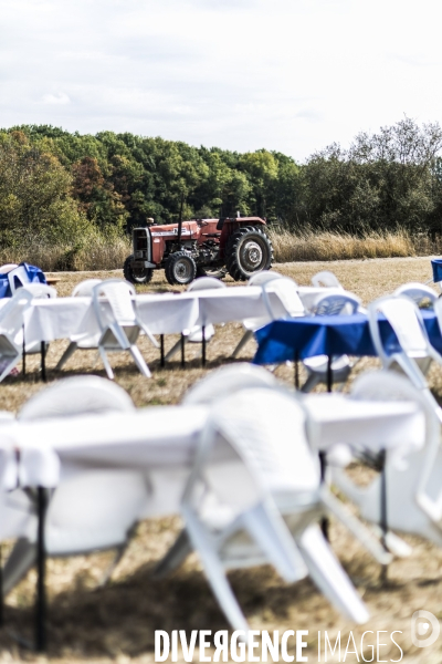 Fête de la Violette de LR