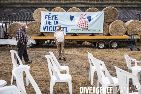 Fête de la Violette de LR