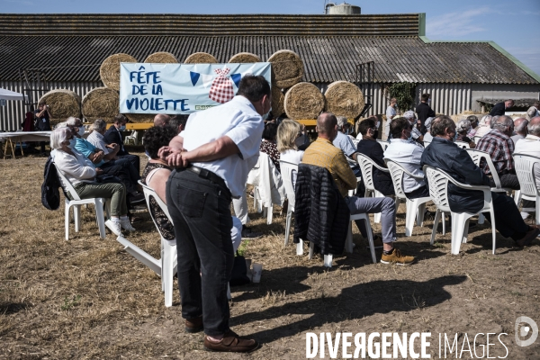Fête de la Violette de LR