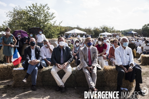 Fête de la Violette de LR