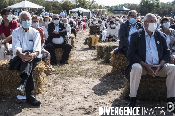 Fête de la Violette de LR