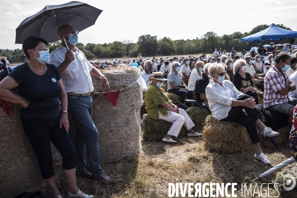 Fête de la Violette de LR