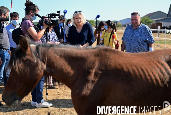 Marine Le Pen dans l Yonne auprès des éleveurs de chevaux