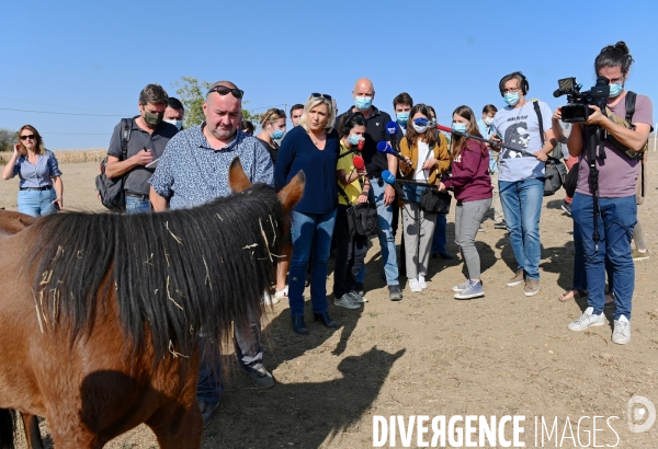 Marine Le Pen dans l Yonne auprès des éleveurs de chevaux