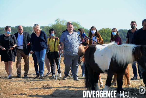 Marine Le Pen dans l Yonne auprès des éleveurs de chevaux