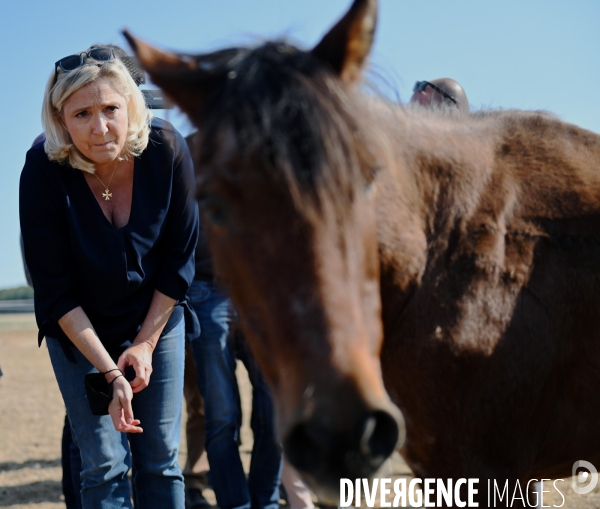 Marine Le Pen dans l Yonne auprès des éleveurs de chevaux