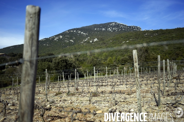 Montpellier & région - PATRIMOINE