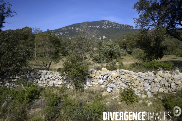 Montpellier & région - PATRIMOINE