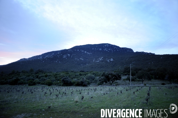 Montpellier & région - PATRIMOINE