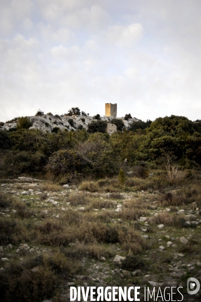 Montpellier & région - PATRIMOINE
