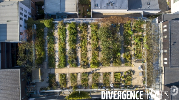 Le jardin sur le toit