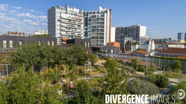 Le jardin sur le toit