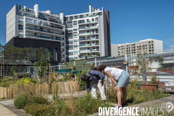 Le jardin sur le toit