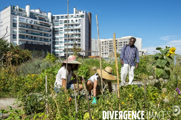 Le jardin sur le toit