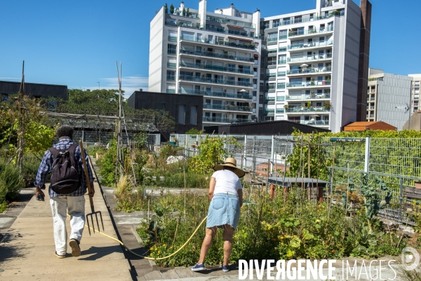 Le jardin sur le toit