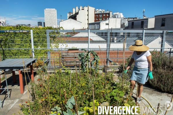 Le jardin sur le toit