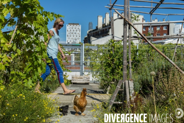 Le jardin sur le toit