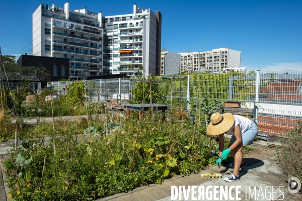 Le jardin sur le toit