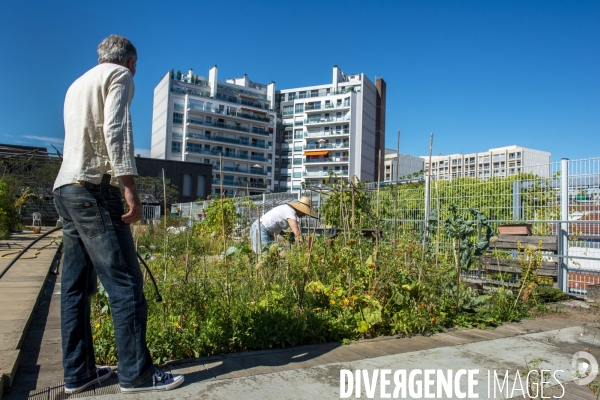 Le jardin sur le toit