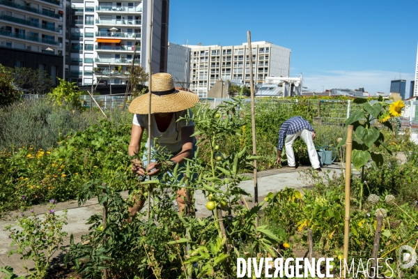 Le jardin sur le toit