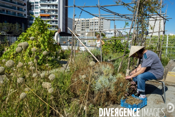 Le jardin sur le toit