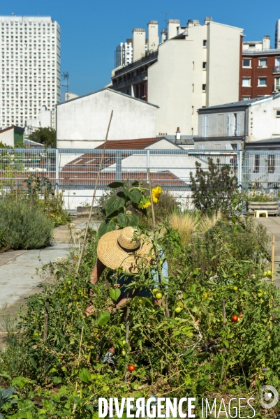 Le jardin sur le toit