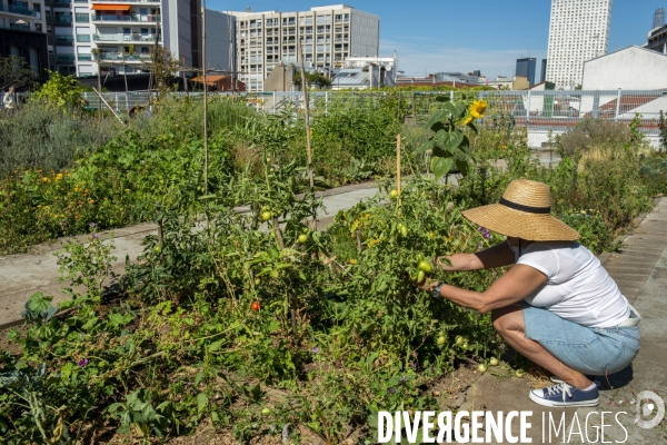 Le jardin sur le toit