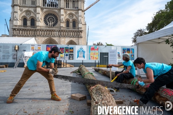 Reconstruction de Notre-Dame