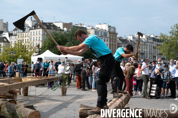 Reconstruction de Notre-Dame