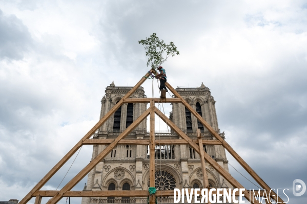 Reconstruction de Notre-Dame