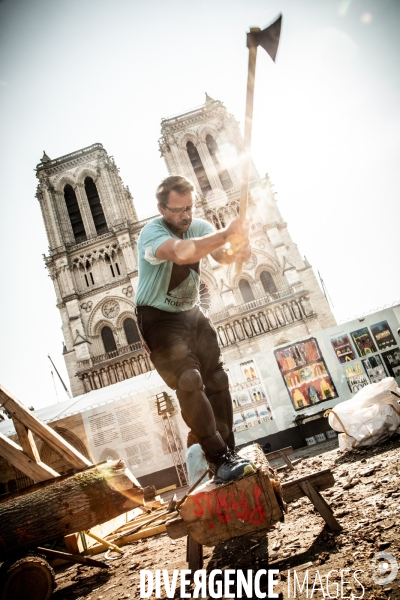 Reconstruction de Notre-Dame de Paris