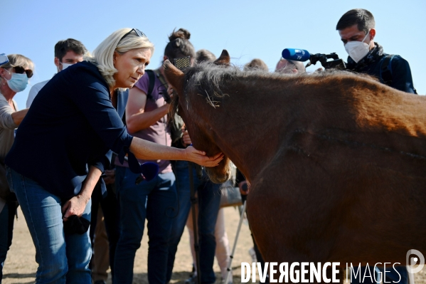 Marine Le Pen dans l Yonne auprès des éleveurs de chevaux