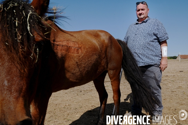 Marine Le Pen dans l Yonne auprès des éleveurs de chevaux