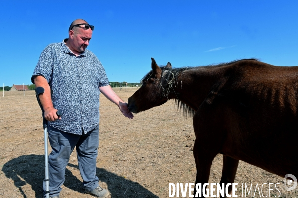 Marine Le Pen dans l Yonne auprès des éleveurs de chevaux