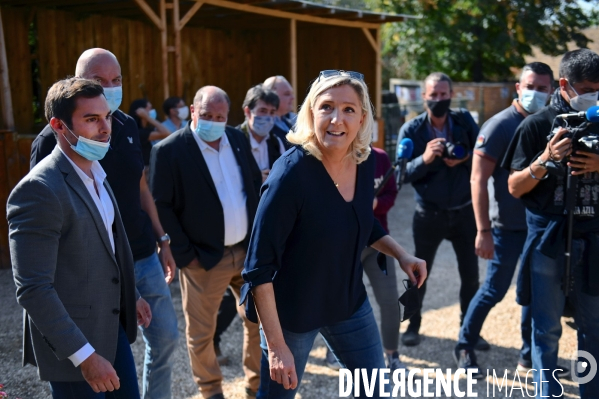 Marine Le Pen dans l Yonne auprès des éleveurs de chevaux