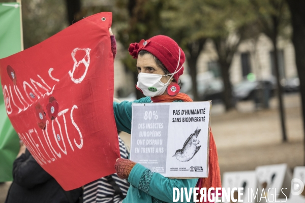 Manifestation contre la réintroduction temporaire des néonicotinoïdes