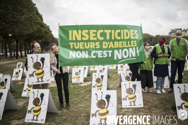 Manifestation contre la réintroduction temporaire des néonicotinoïdes