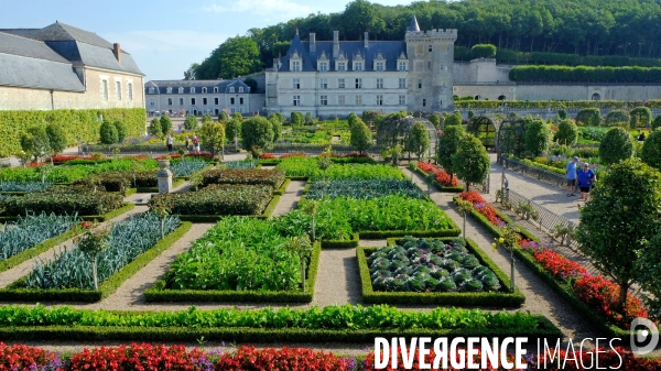 Des chateaux de la Loire sous la Covid 19