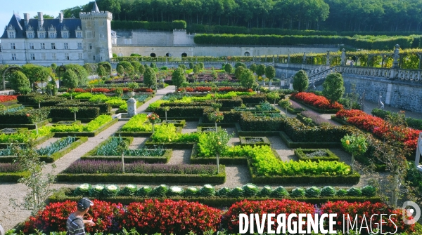 Des chateaux de la Loire sous la Covid 19