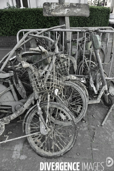 Vélos trottinettes :  épaves, carcasses, négligence. Scooter bikes: wrecks, carcasses, neglect.