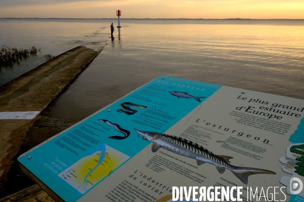La Gironde, suivie au fil de l eau