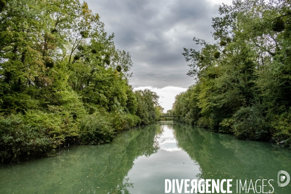 Canal de Chelles