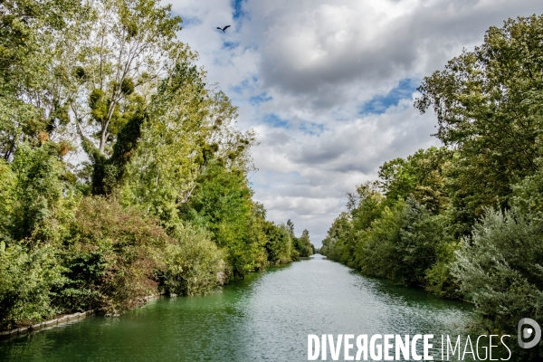 Canal de Chelles